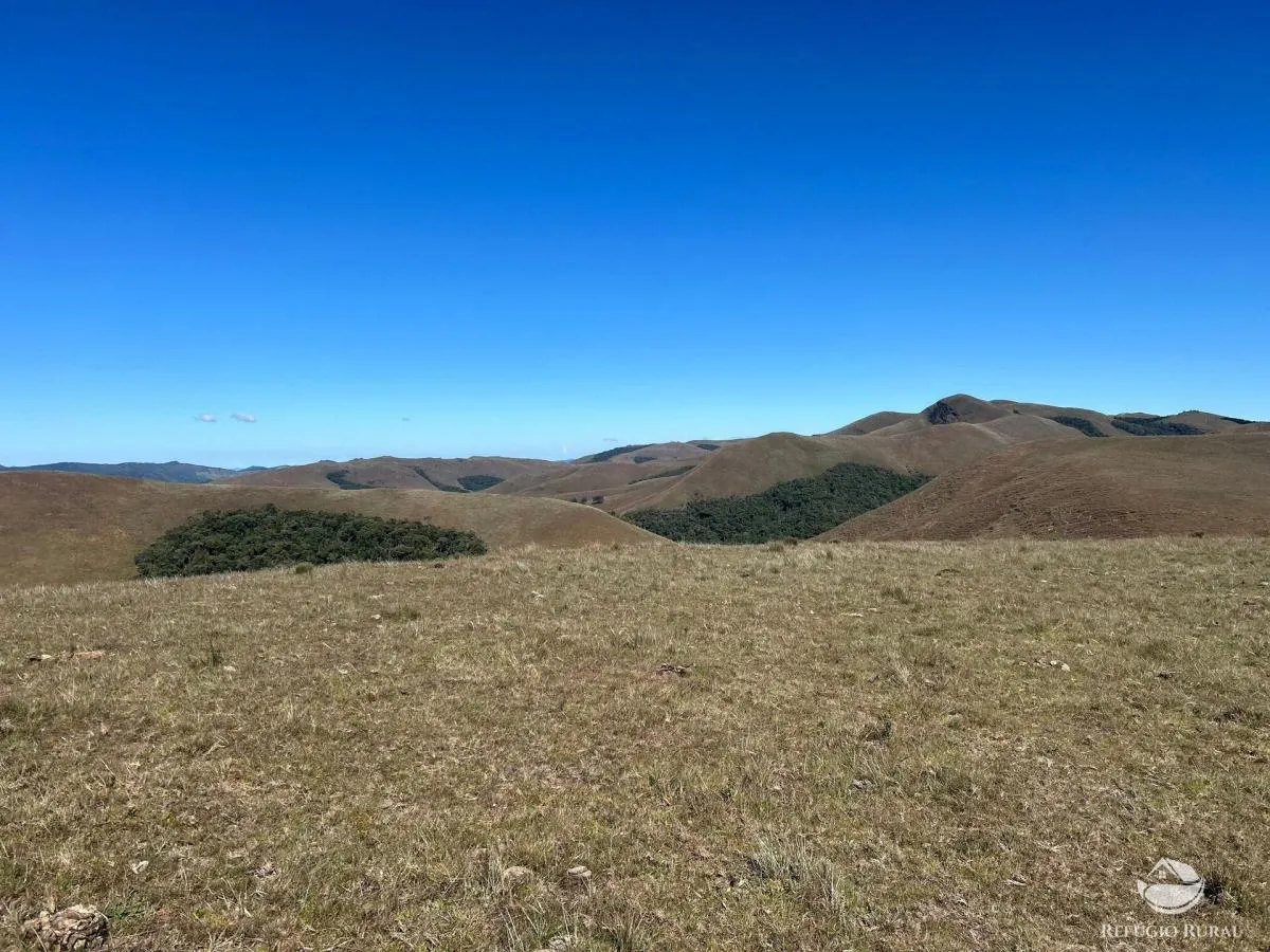 Farm for sale of 447 acres in Areias, SP, Brazil