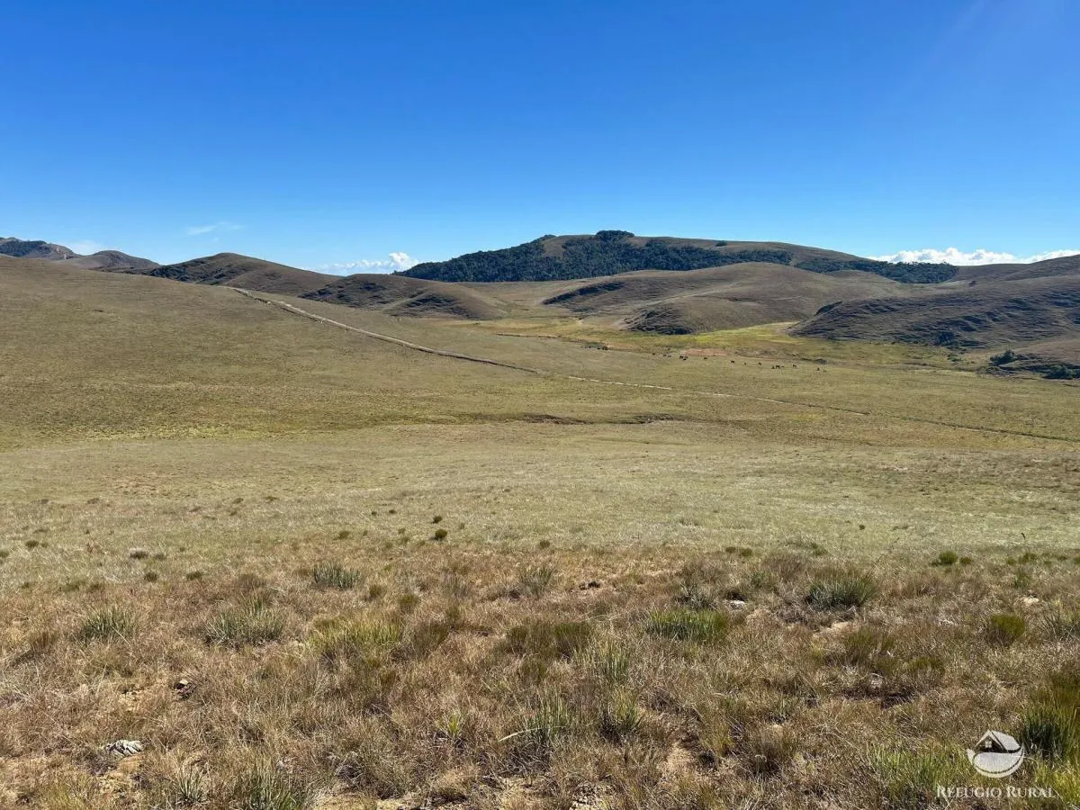 Farm for sale of 447 acres in Areias, SP, Brazil