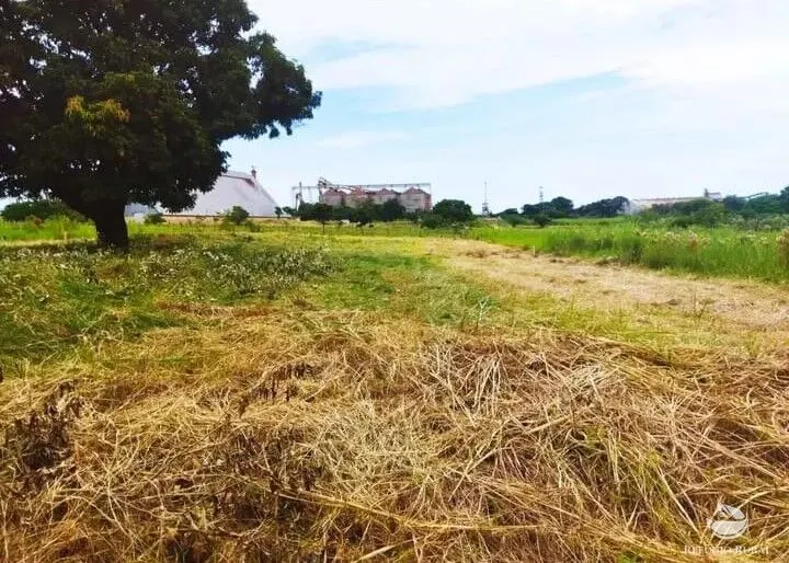 Terreno à venda e para Arrendar de 2.108 m² em Maringá, PR, Brasil