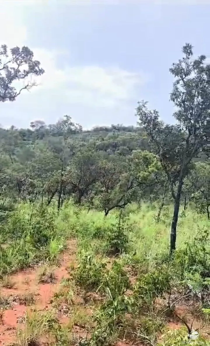 Farm for sale of 14,826 acres in Grajaú, MA, Brazil