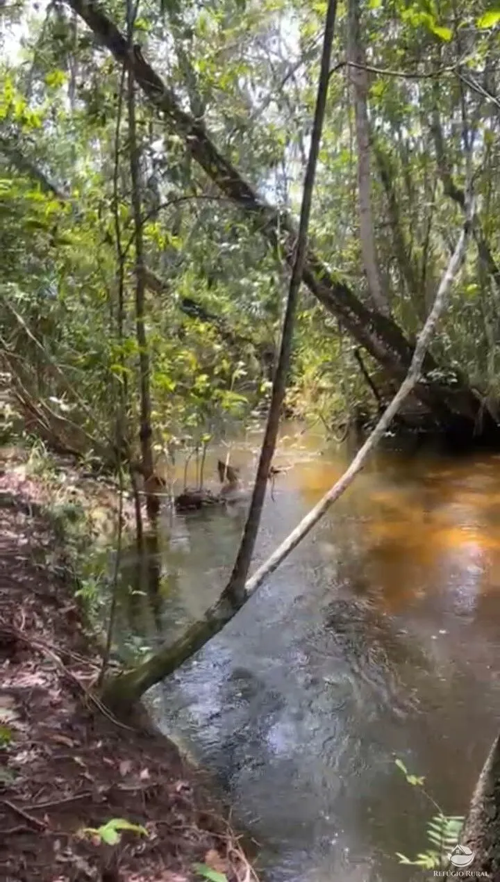 Farm for sale of 14,826 acres in Grajaú, MA, Brazil