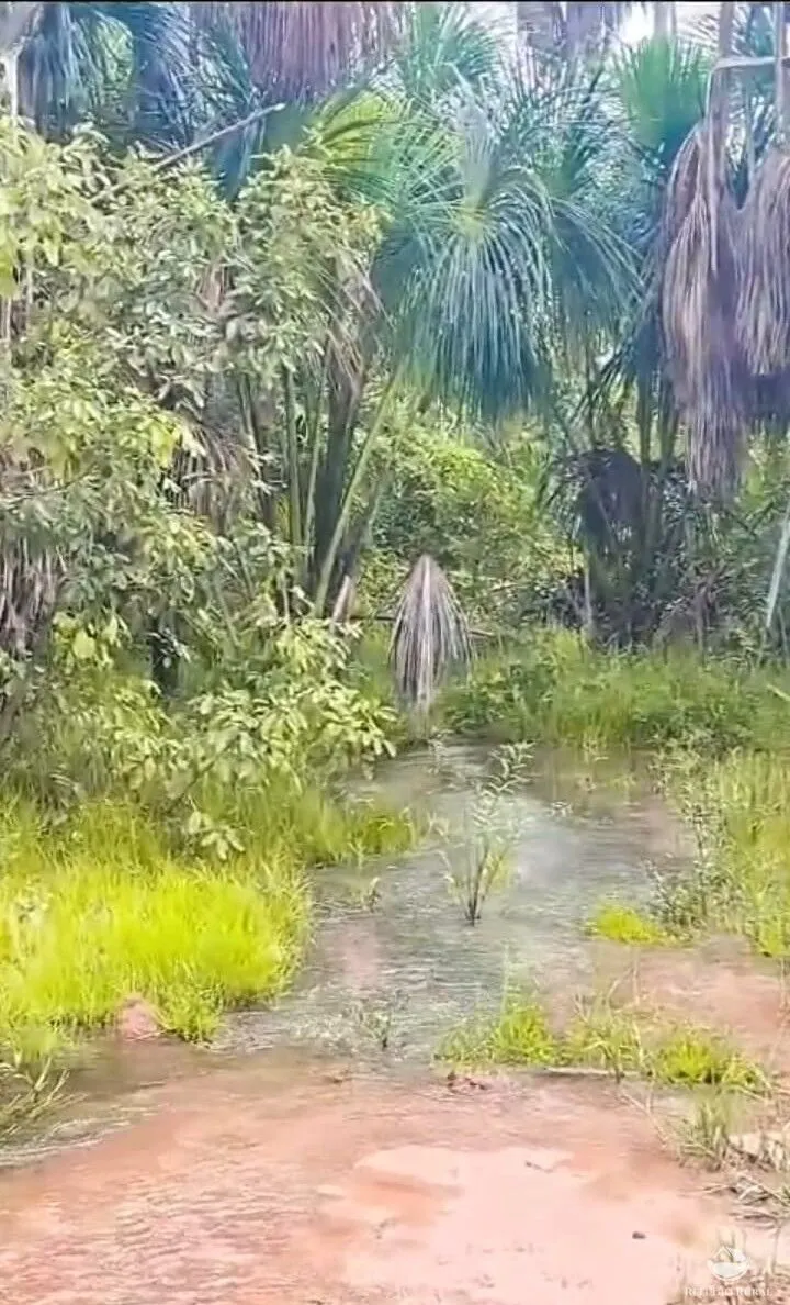 Farm for sale of 14,826 acres in Grajaú, MA, Brazil