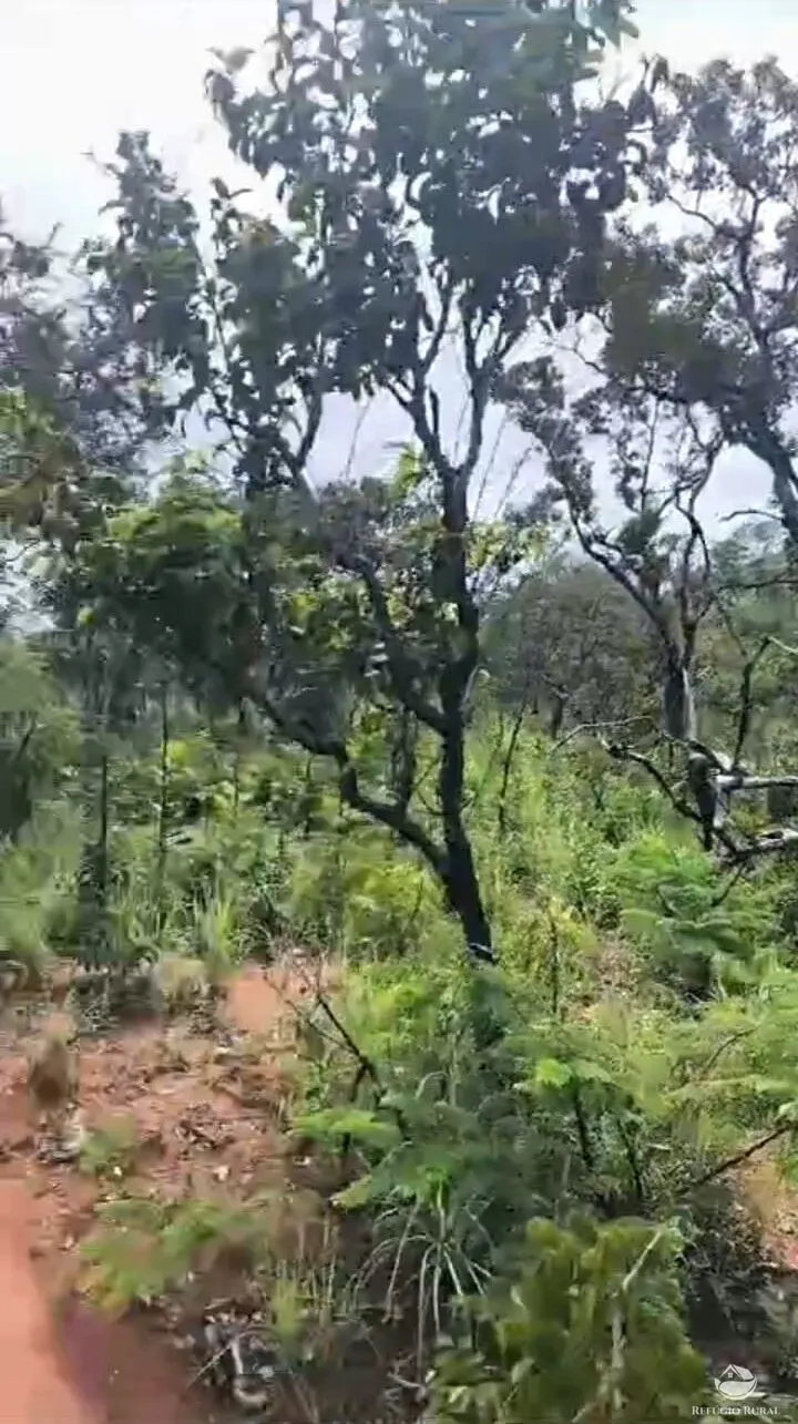 Farm for sale of 14,826 acres in Grajaú, MA, Brazil