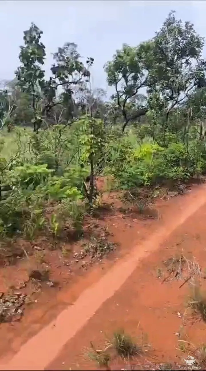 Farm for sale of 14,826 acres in Grajaú, MA, Brazil