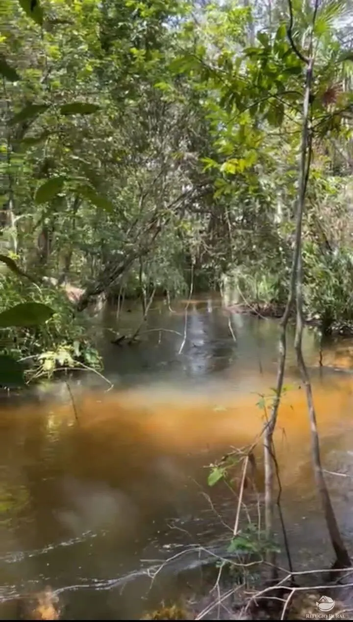 Farm for sale of 14,826 acres in Grajaú, MA, Brazil