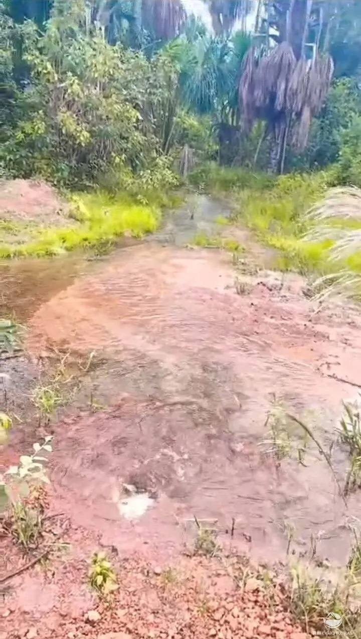Farm for sale of 14,826 acres in Grajaú, MA, Brazil