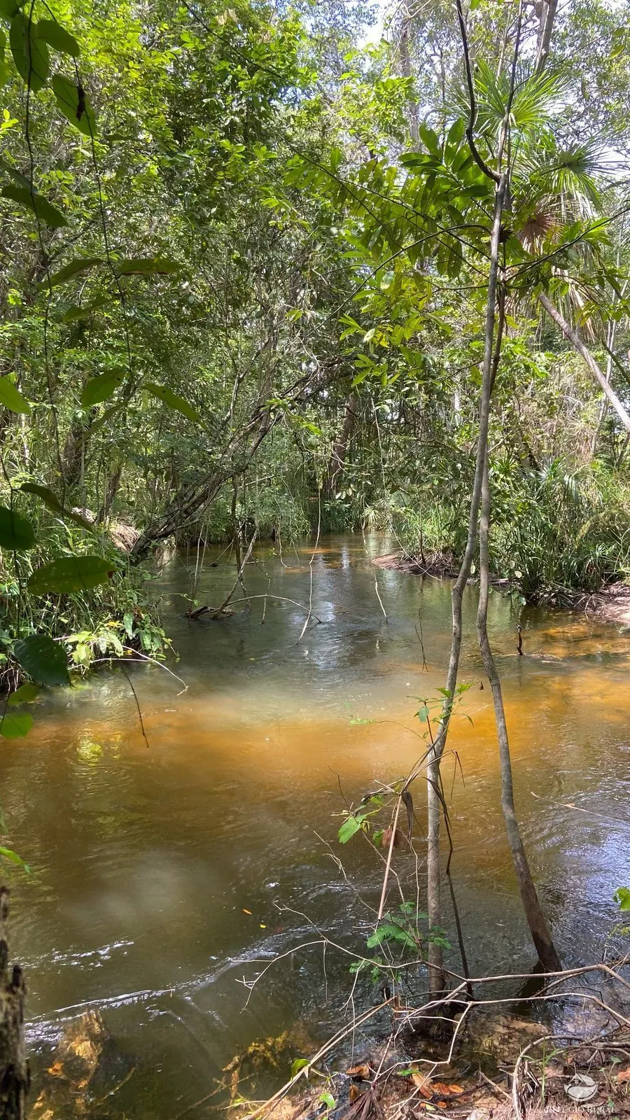 Fazenda à venda de 6.000 ha em Grajaú, MA, Brasil