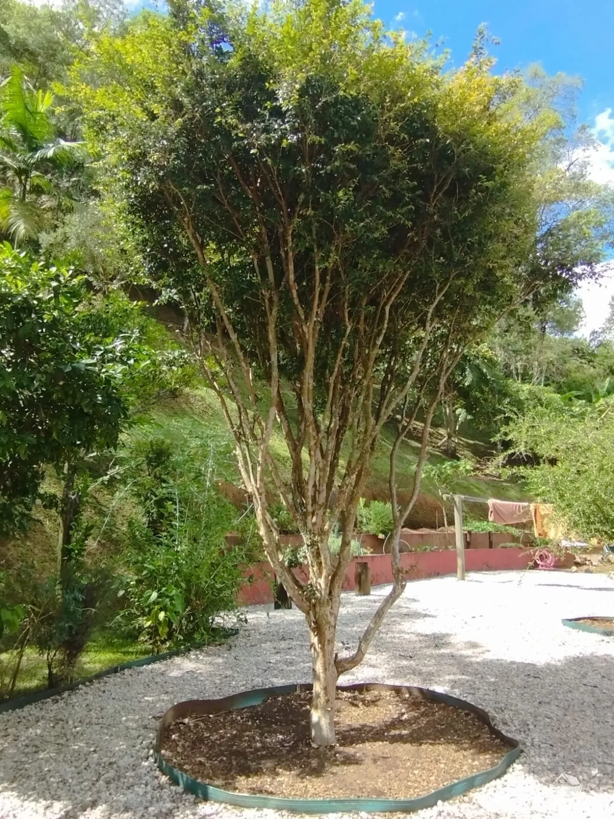 Chácara à venda de 1 ha em São José dos Campos, SP, Brasil