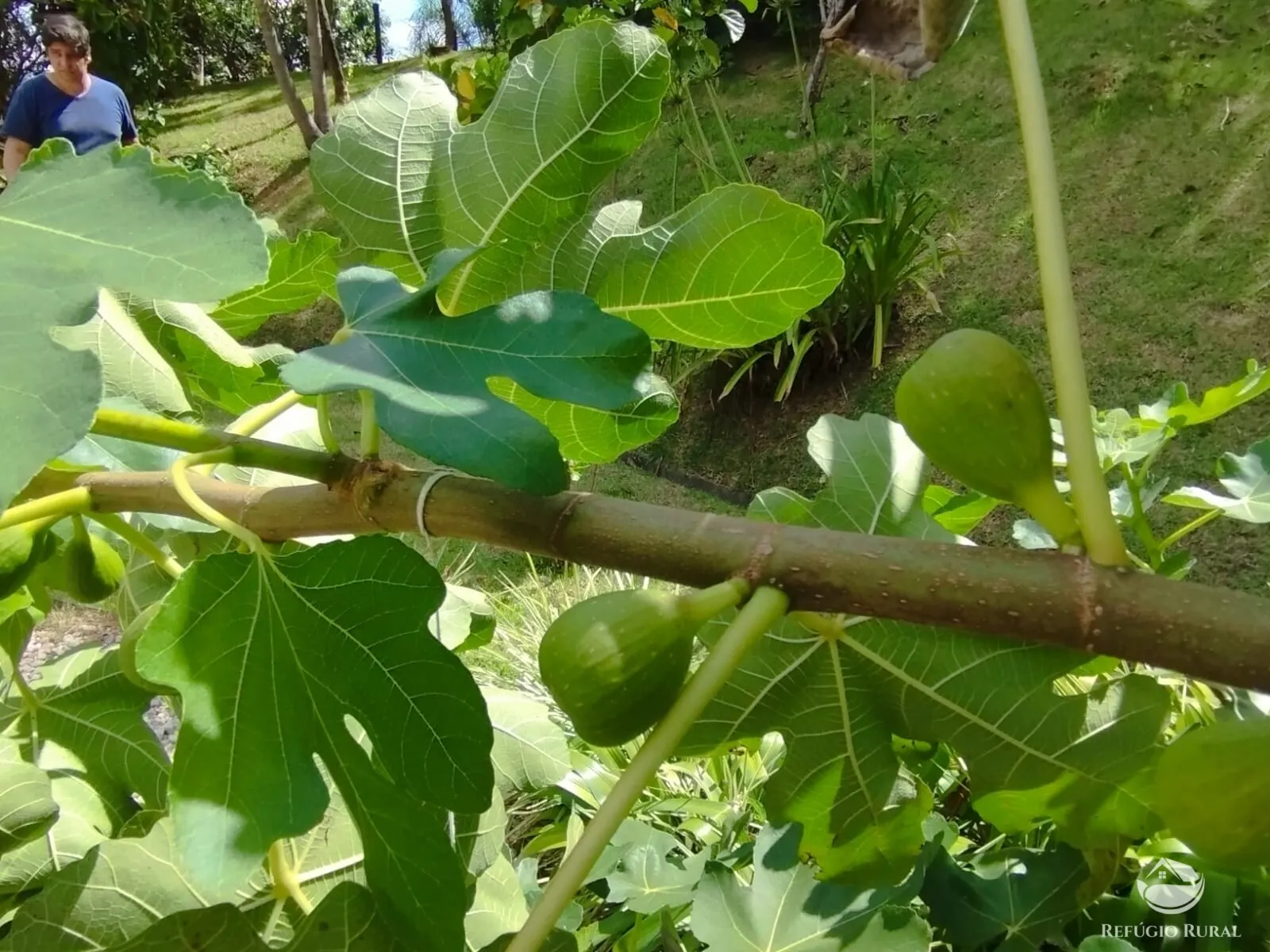 Chácara à venda de 1 ha em São José dos Campos, SP, Brasil