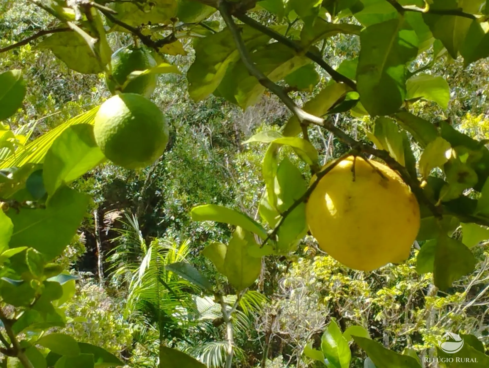 Chácara à venda de 1 ha em São José dos Campos, SP, Brasil