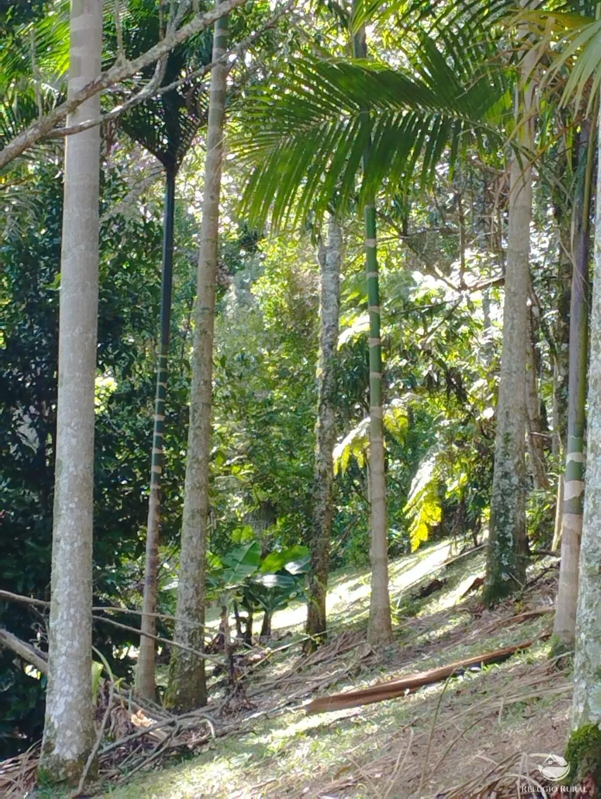 Chácara à venda de 1 ha em São José dos Campos, SP, Brasil