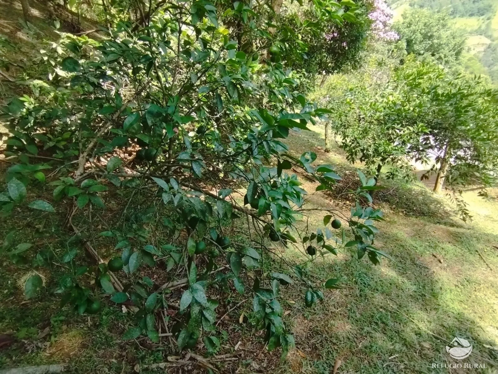 Chácara à venda de 1 ha em São José dos Campos, SP, Brasil