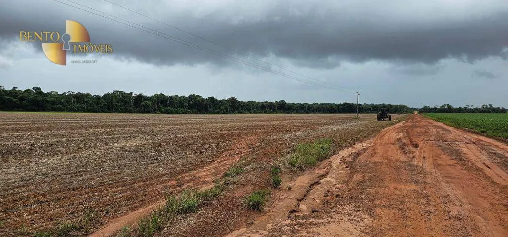 Fazenda à venda e para Arrendar de 310 ha em Tapurah, MT, Brasil