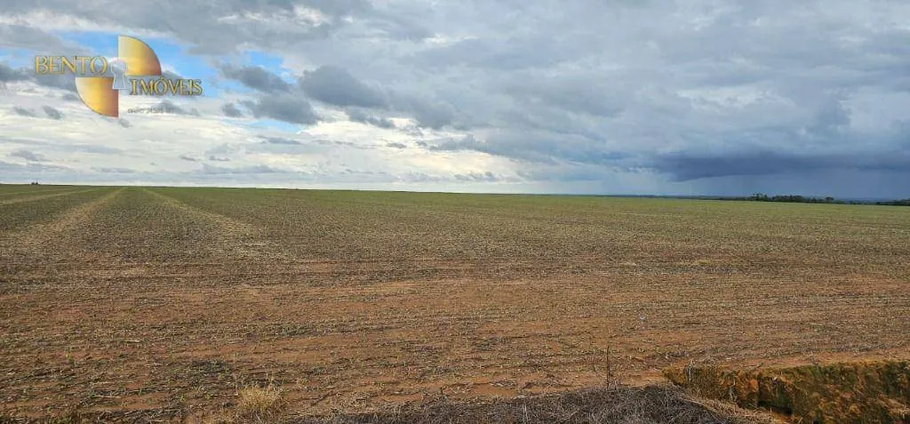 Fazenda à venda e para Arrendar de 310 ha em Tapurah, MT, Brasil