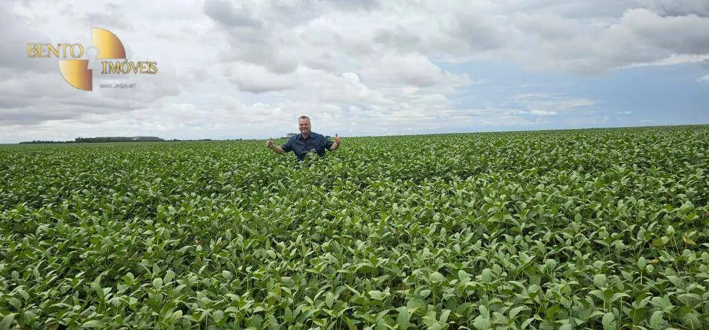 Fazenda à venda e para Arrendar de 310 ha em Tapurah, MT, Brasil