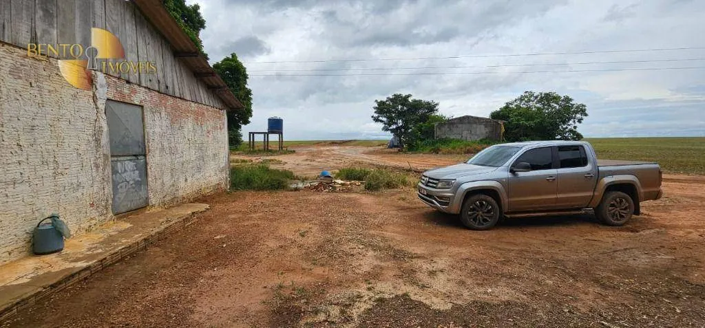 Fazenda à venda e para Arrendar de 310 ha em Tapurah, MT, Brasil