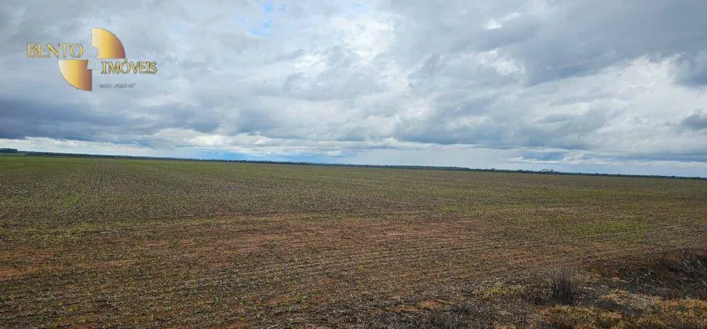 Fazenda à venda e para Arrendar de 310 ha em Tapurah, MT, Brasil