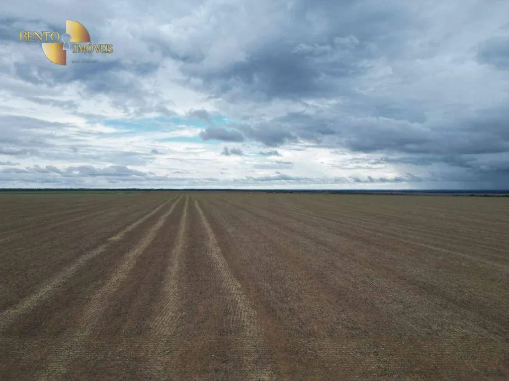 Fazenda à venda e para Arrendar de 310 ha em Tapurah, MT, Brasil