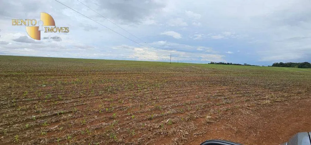 Fazenda à venda e para Arrendar de 310 ha em Tapurah, MT, Brasil