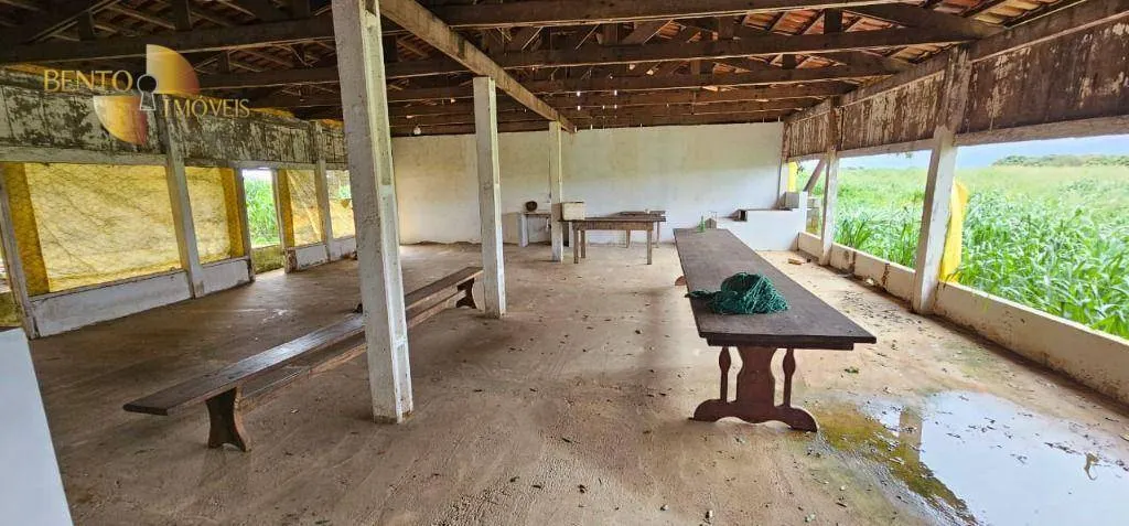 Fazenda à venda e para Arrendar de 310 ha em Tapurah, MT, Brasil