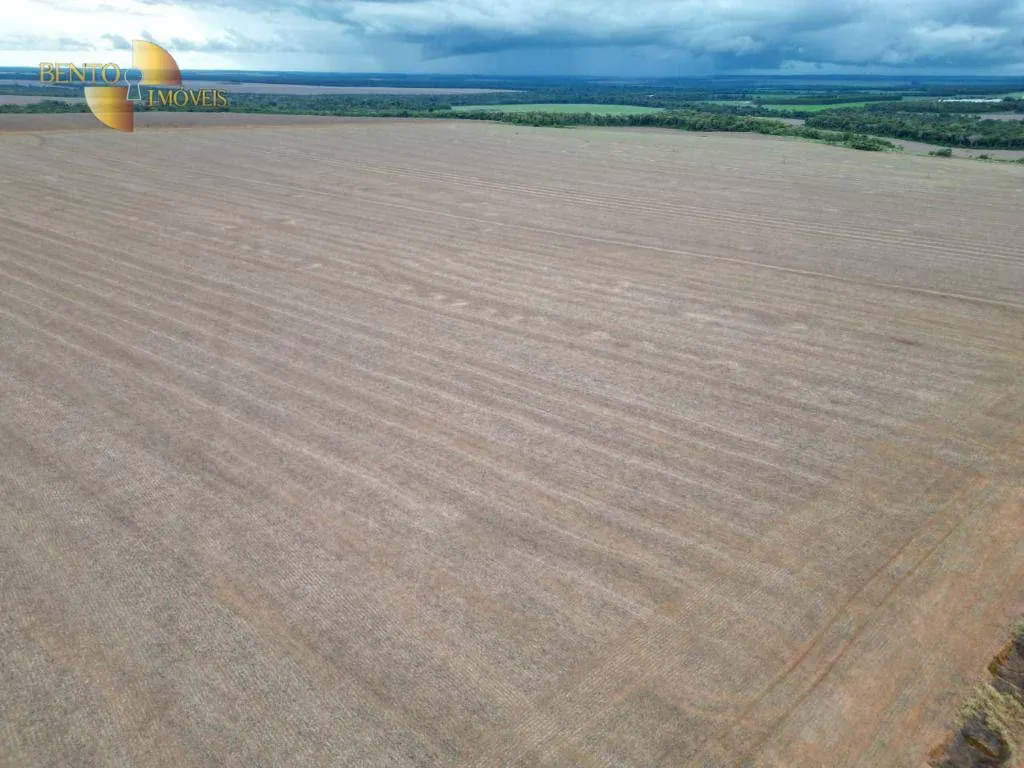 Fazenda à venda e para Arrendar de 310 ha em Tapurah, MT, Brasil