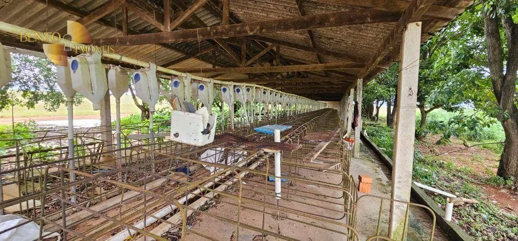 Fazenda à venda e para Arrendar de 310 ha em Tapurah, MT, Brasil