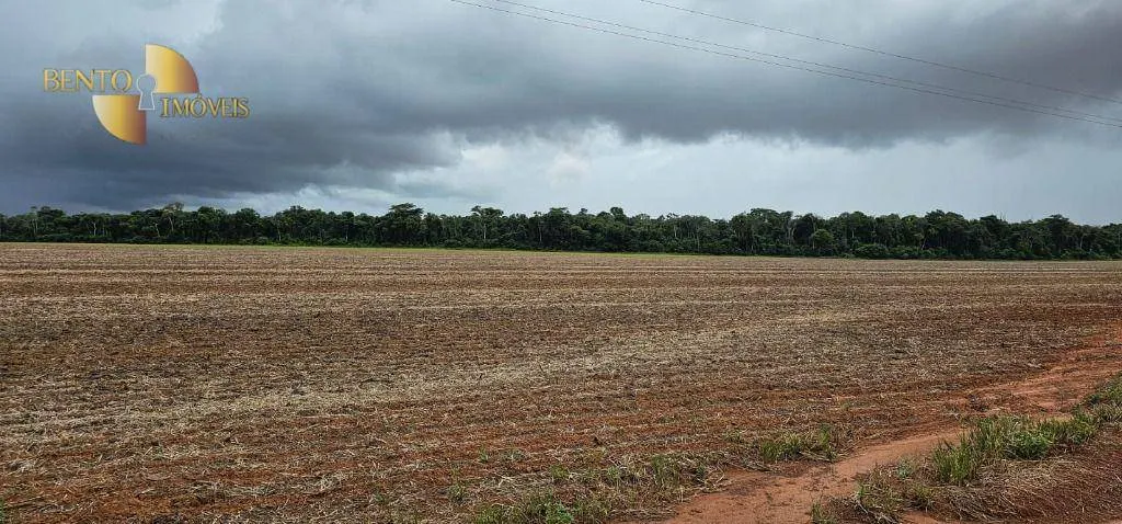 Fazenda à venda e para Arrendar de 310 ha em Tapurah, MT, Brasil