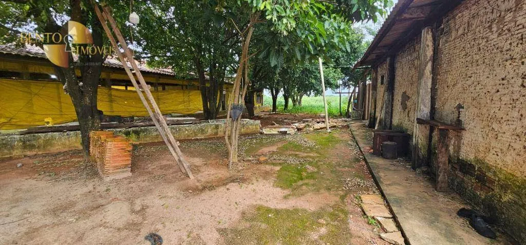 Fazenda à venda e para Arrendar de 310 ha em Tapurah, MT, Brasil
