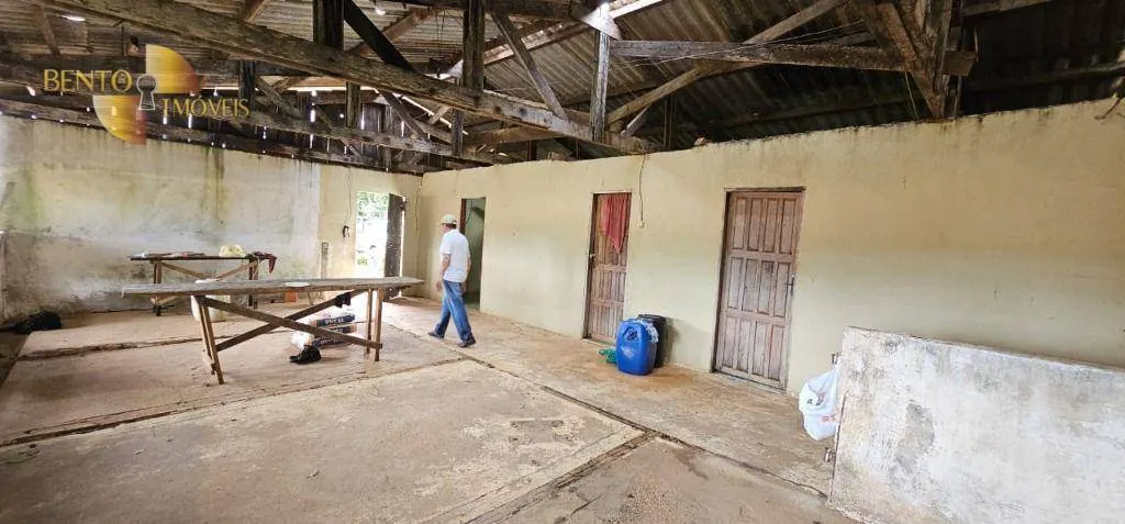Fazenda à venda e para Arrendar de 310 ha em Tapurah, MT, Brasil