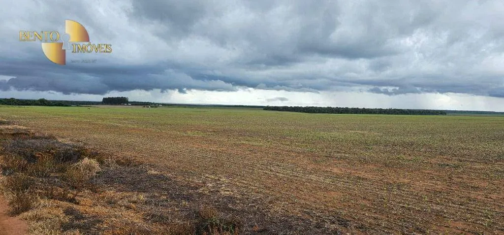 Fazenda à venda e para Arrendar de 310 ha em Tapurah, MT, Brasil