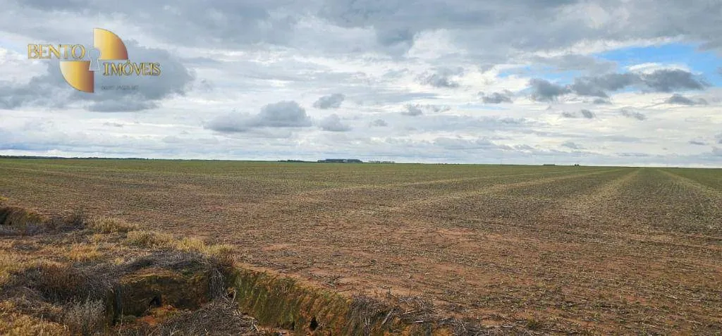 Fazenda à venda e para Arrendar de 310 ha em Tapurah, MT, Brasil