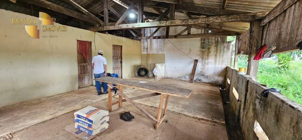 Fazenda à venda e para Arrendar de 310 ha em Tapurah, MT, Brasil