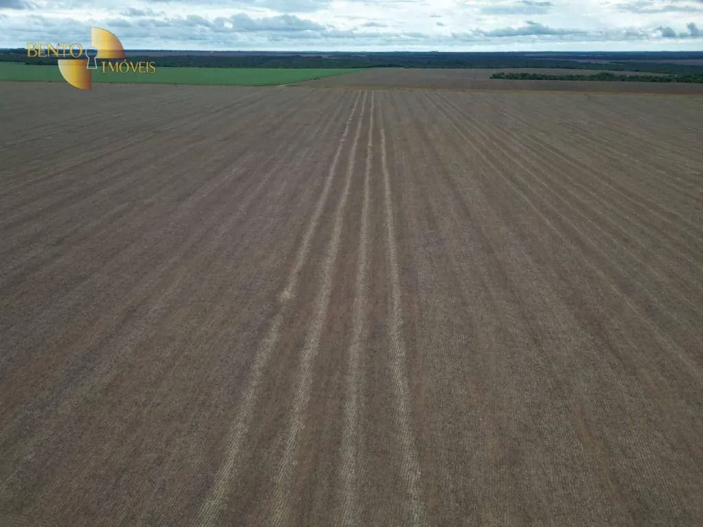 Fazenda à venda e para Arrendar de 310 ha em Tapurah, MT, Brasil