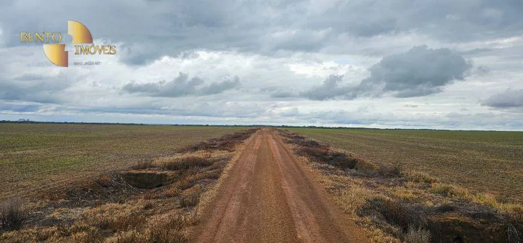 Fazenda à venda e para Arrendar de 310 ha em Tapurah, MT, Brasil