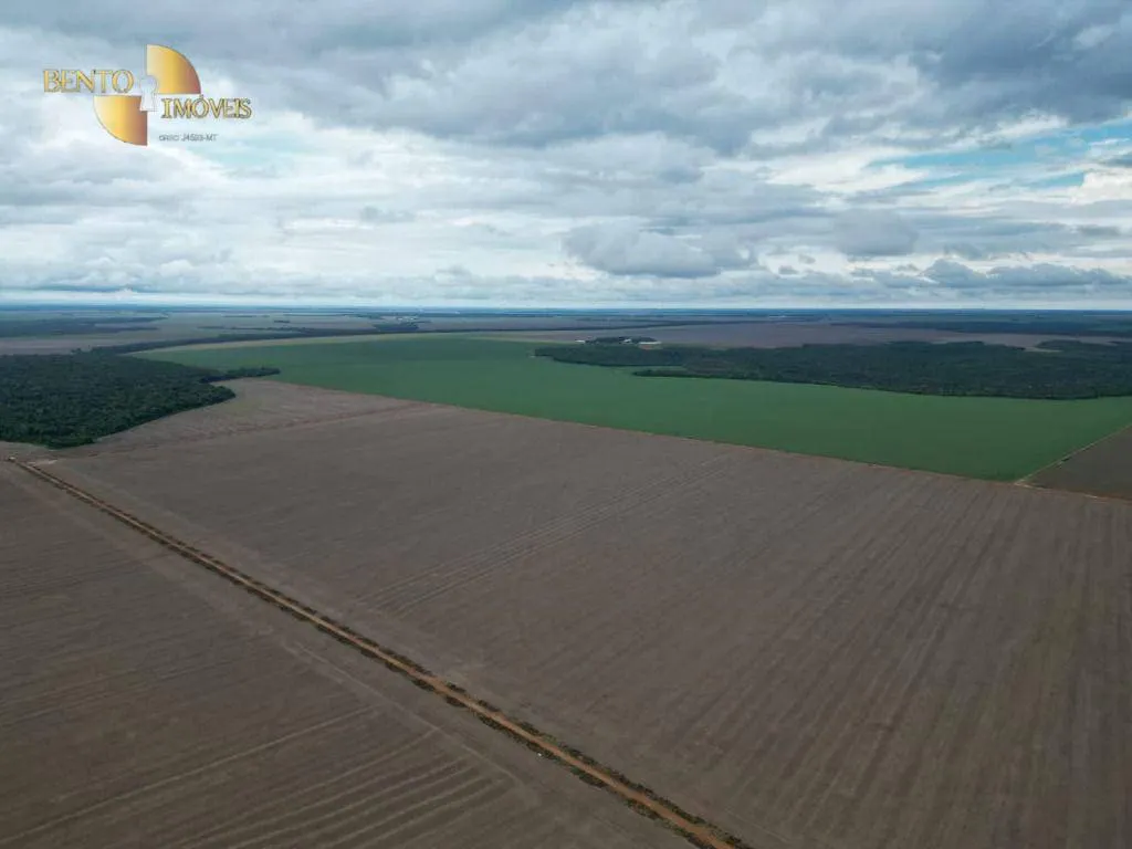 Fazenda à venda e para Arrendar de 310 ha em Tapurah, MT, Brasil