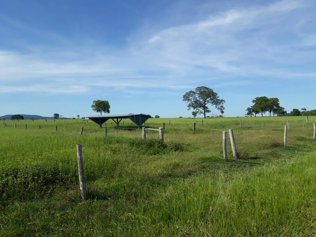 Fazenda à venda de 550 ha em Santo Antônio do Leverger, MT, Brasil