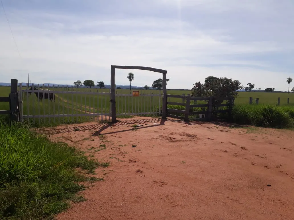 Fazenda à venda de 550 ha em Santo Antônio do Leverger, MT, Brasil