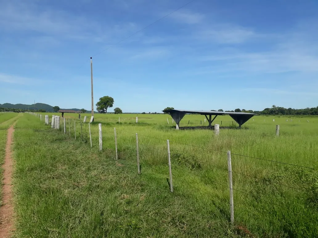 Fazenda à venda de 550 ha em Santo Antônio do Leverger, MT, Brasil