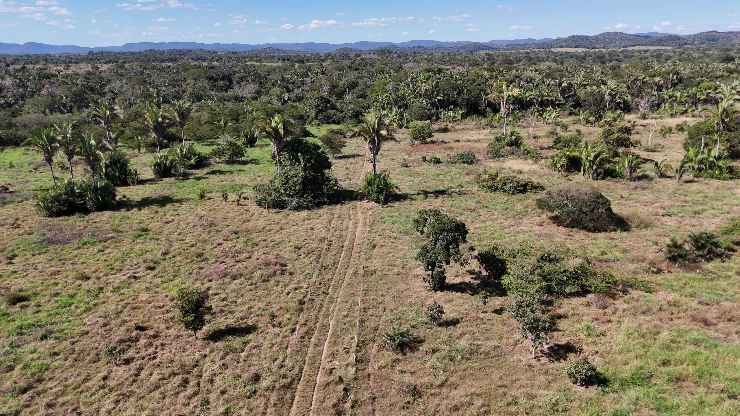 Fazenda à venda de 550 ha em Santo Antônio do Leverger, MT, Brasil