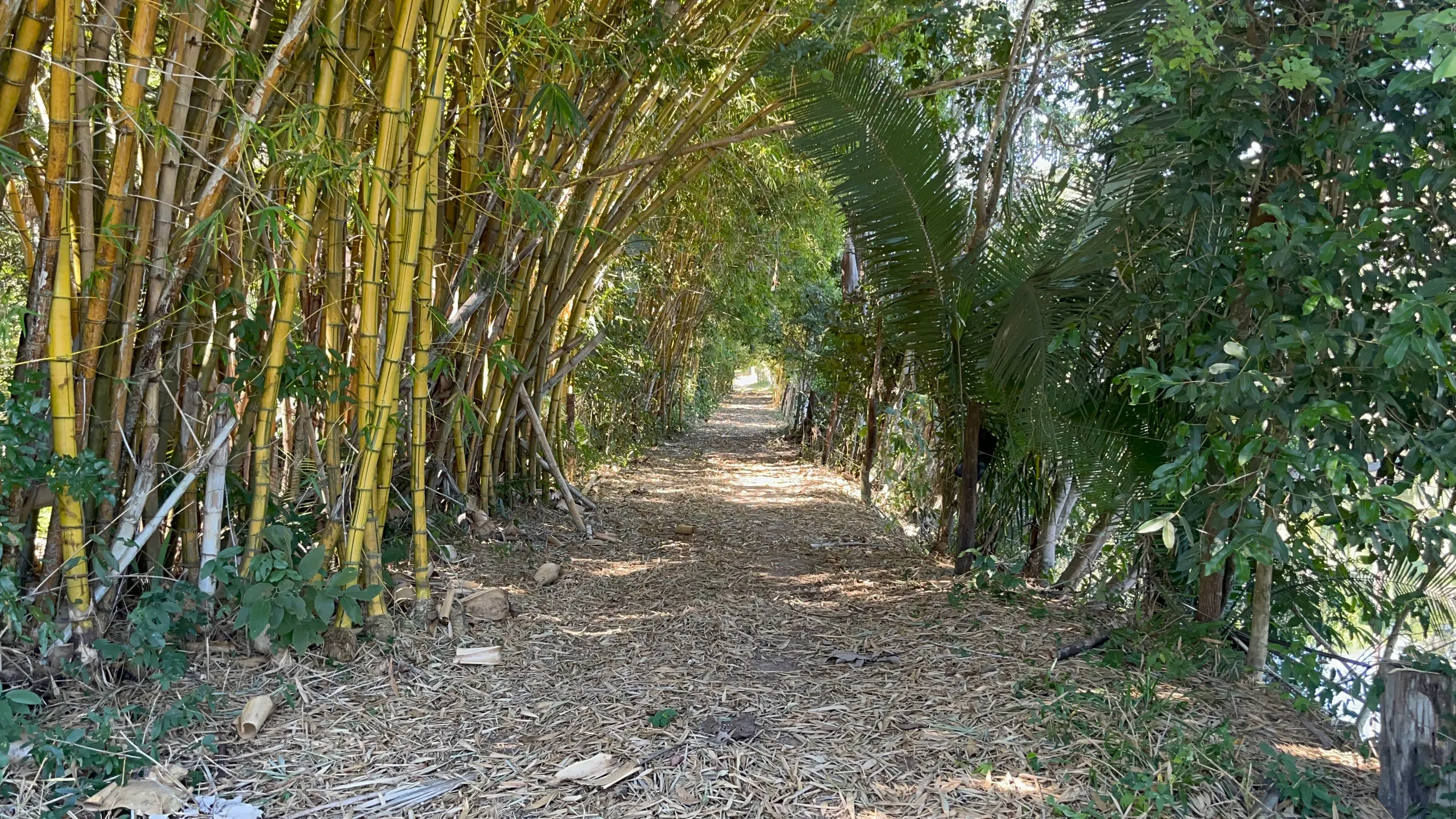 Fazenda à venda de 550 ha em Santo Antônio do Leverger, MT, Brasil