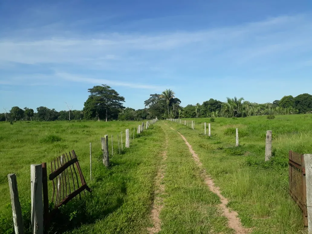 Fazenda à venda de 550 ha em Santo Antônio do Leverger, MT, Brasil
