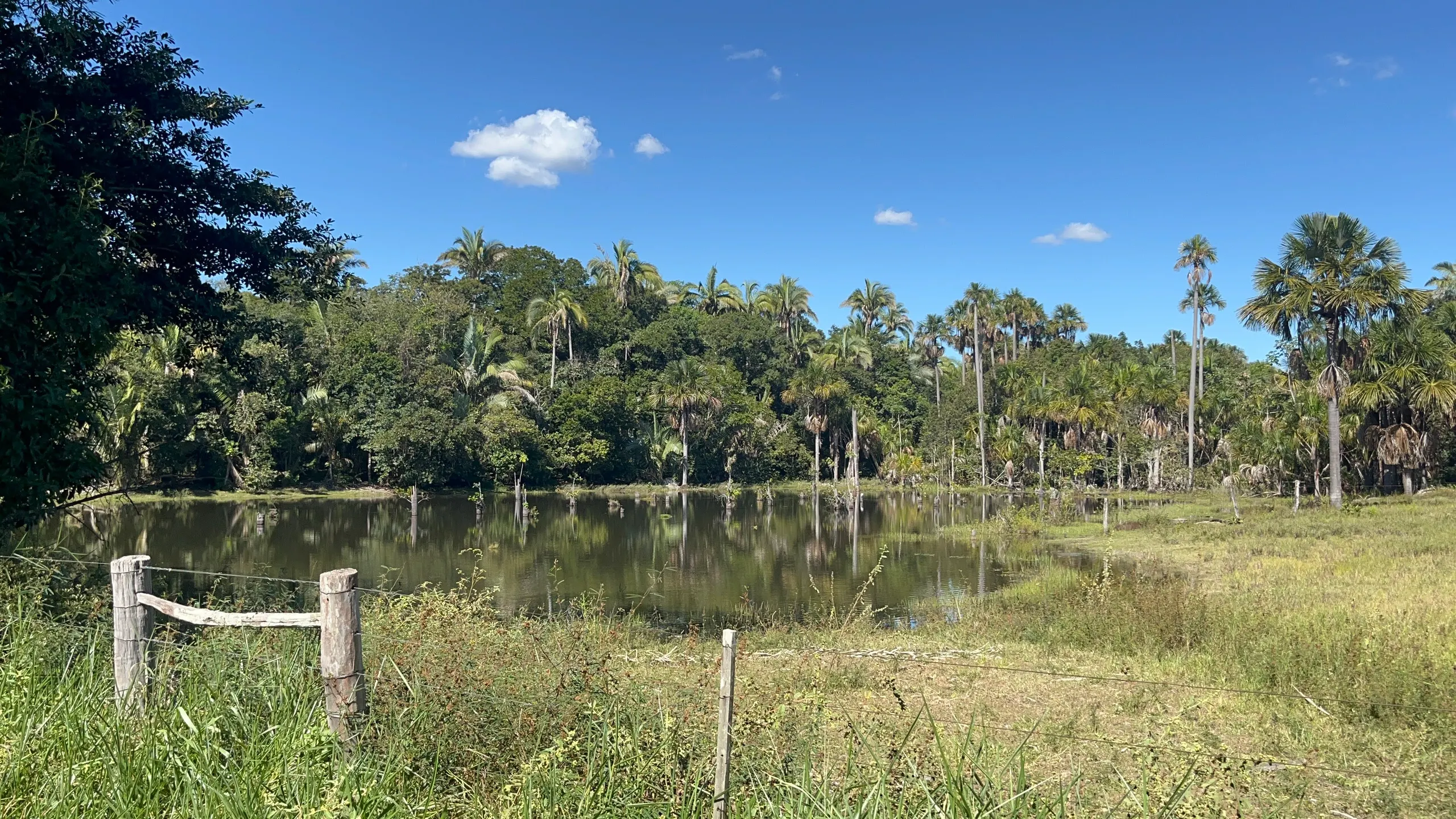 Fazenda à venda de 550 ha em Santo Antônio do Leverger, MT, Brasil