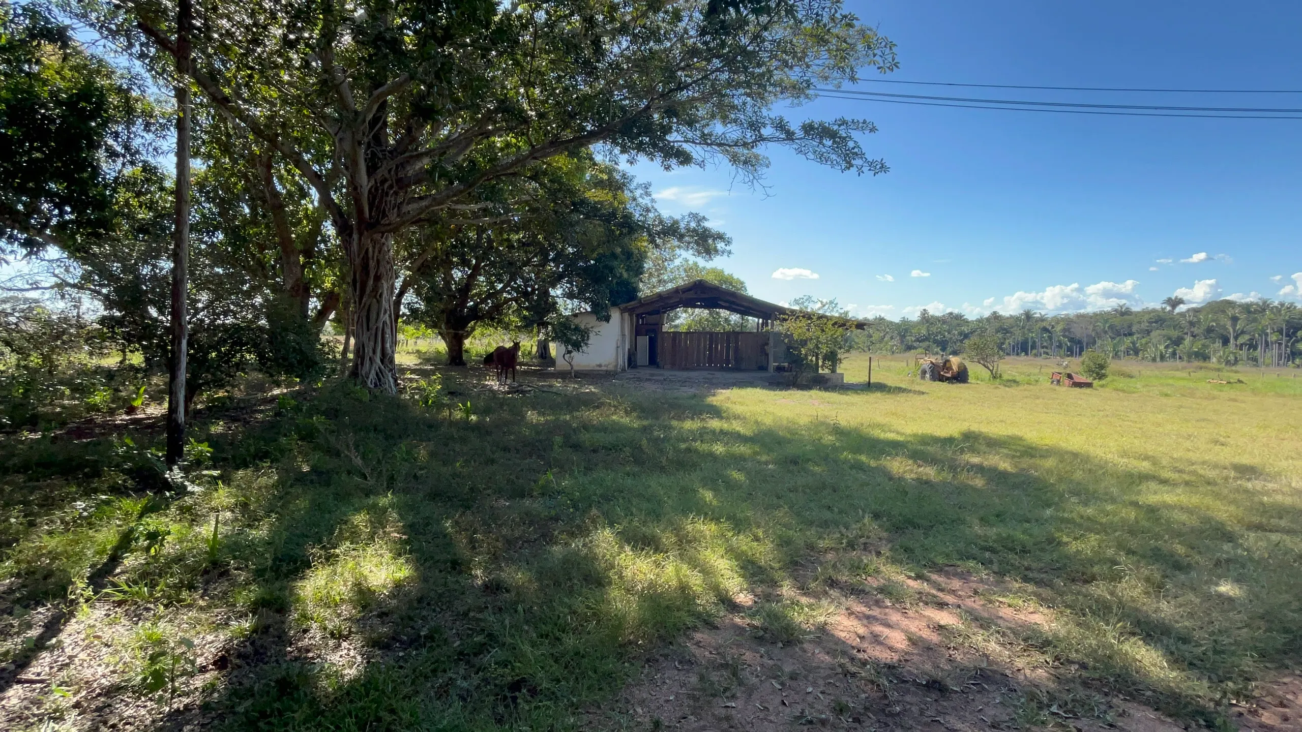 Fazenda à venda de 550 ha em Santo Antônio do Leverger, MT, Brasil