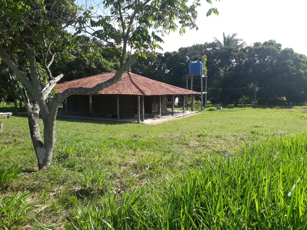 Fazenda à venda de 550 ha em Santo Antônio do Leverger, MT, Brasil