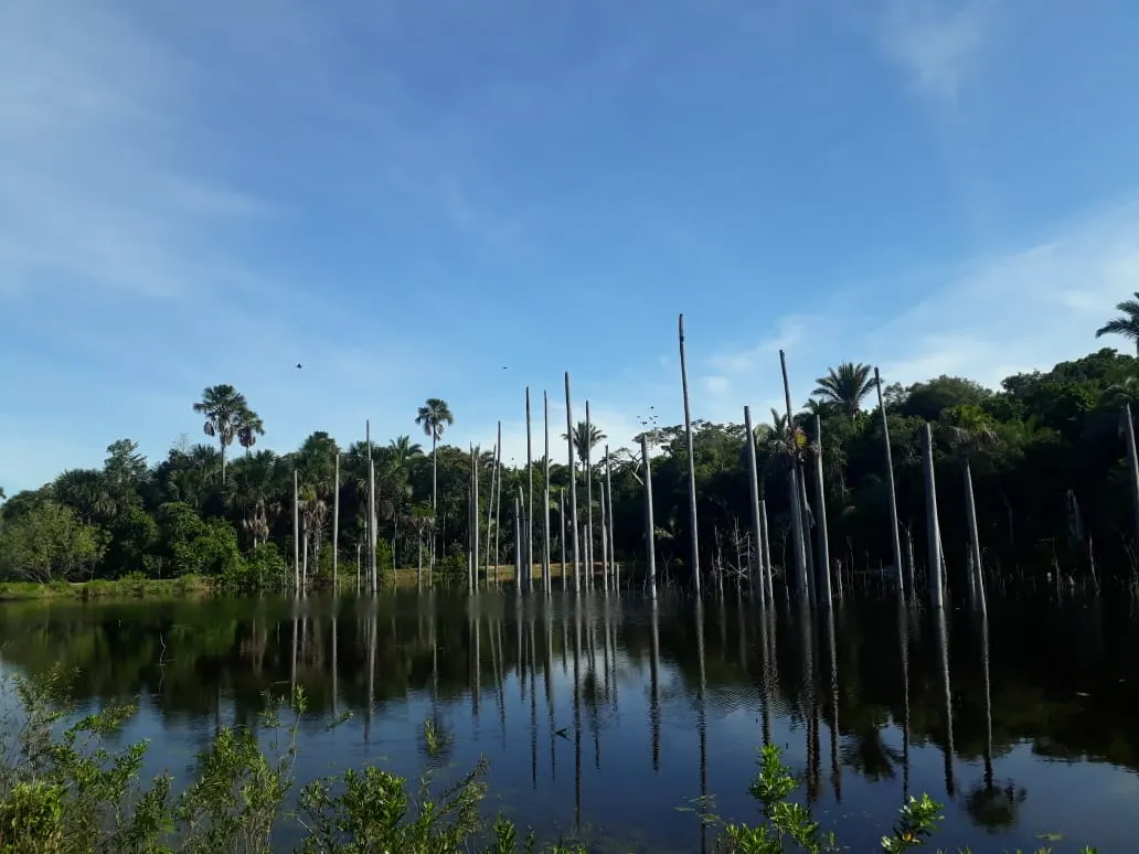 Fazenda à venda de 550 ha em Santo Antônio do Leverger, MT, Brasil