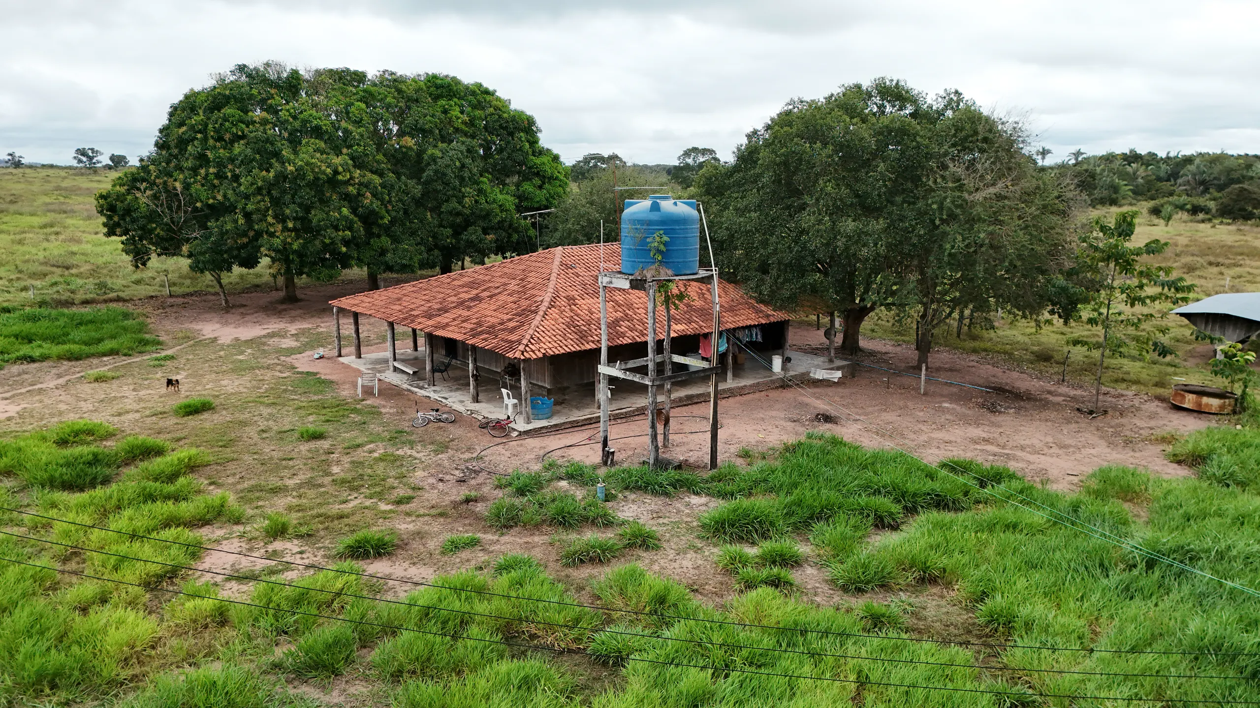 Fazenda à venda de 550 ha em Santo Antônio do Leverger, MT, Brasil