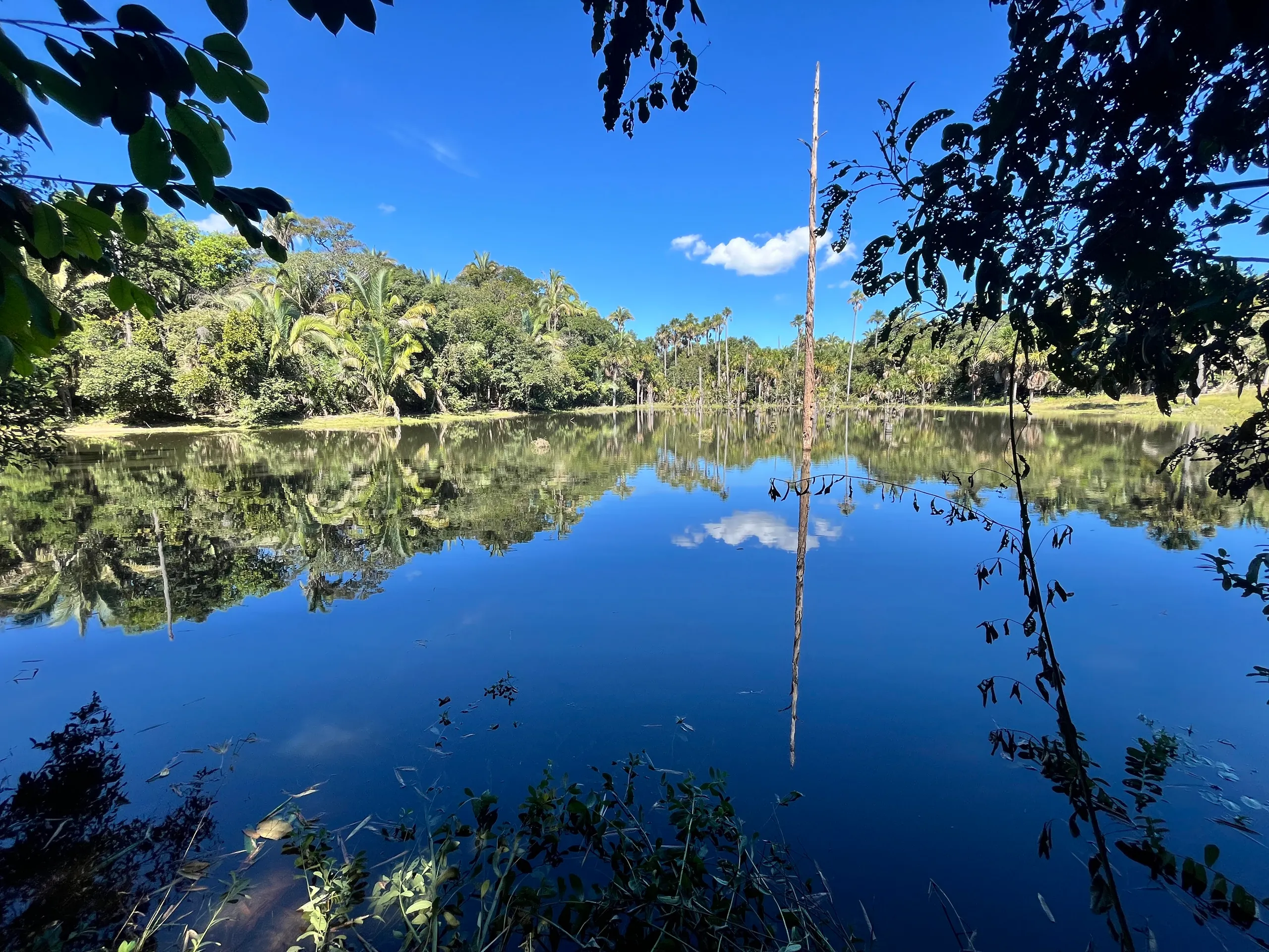 Fazenda à venda de 550 ha em Santo Antônio do Leverger, MT, Brasil