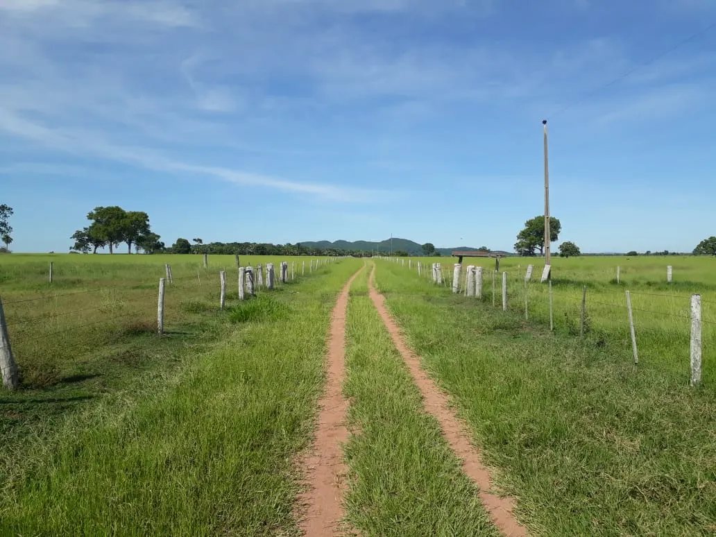 Fazenda à venda de 550 ha em Santo Antônio do Leverger, MT, Brasil