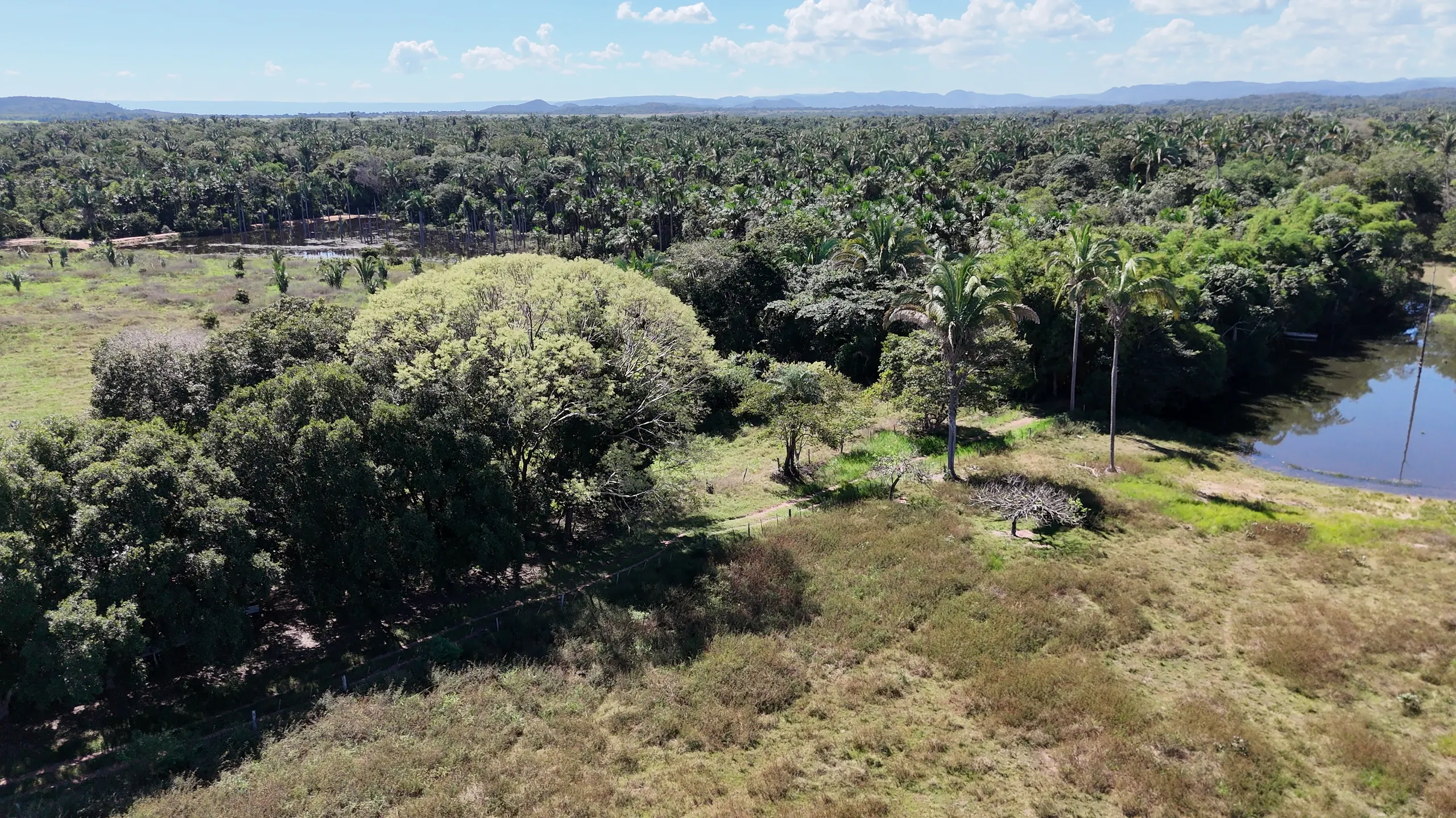 Fazenda à venda de 550 ha em Santo Antônio do Leverger, MT, Brasil