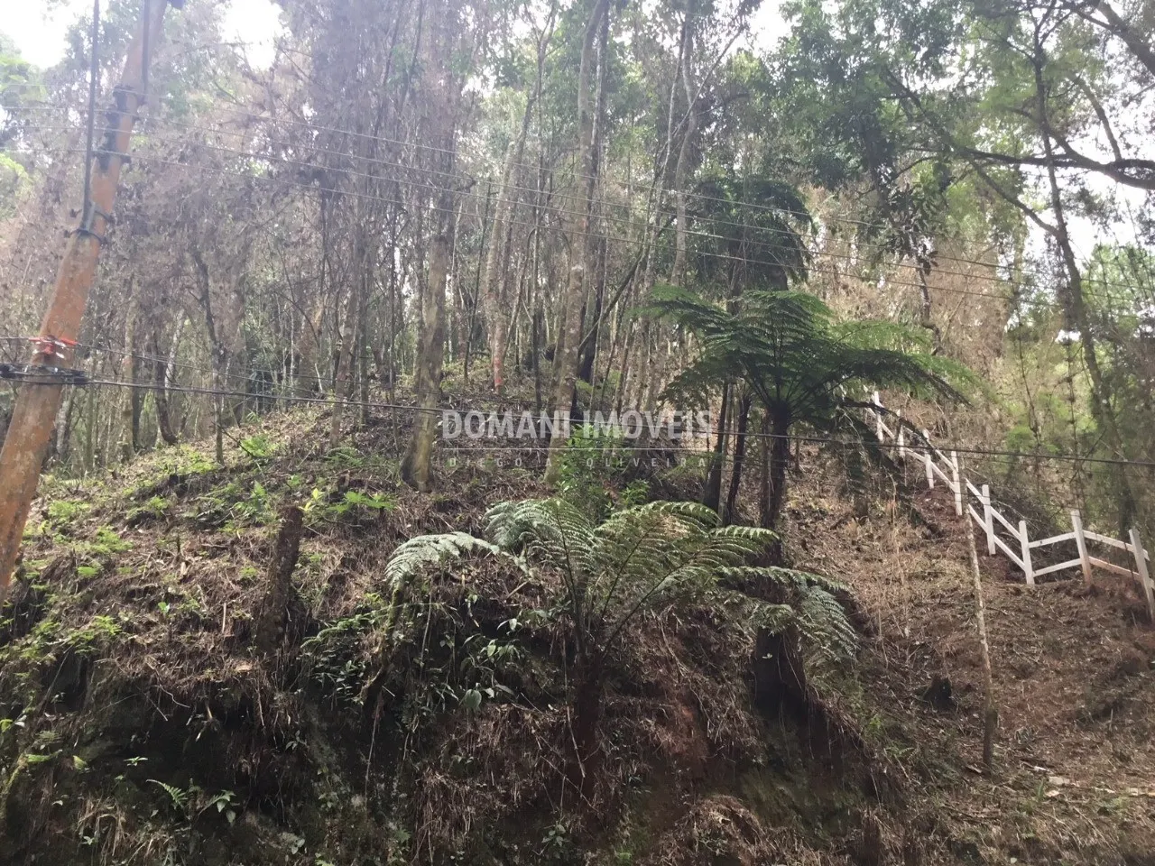 Terreno à venda de 1.010 m² em Campos do Jordão, SP, Brasil